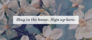 Flower background with "Stay in the know. Sign up here."