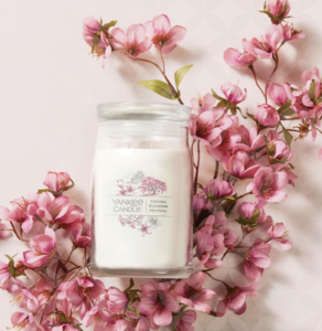 Sakura Blossom Festival Collection