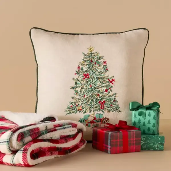 Accent Pillow & Blanket